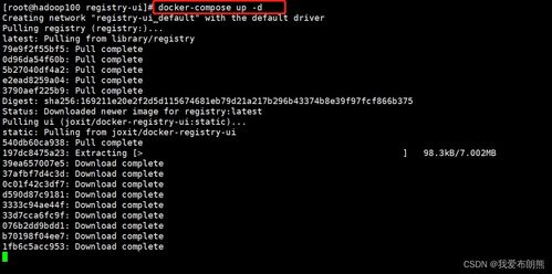 Docker使用教程中，如何配置私有仓库实现镜像的拉取与推送？ 第2张